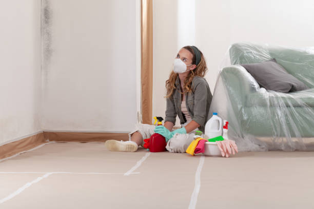 Reliable Bathroom Mold Removal contractor in Scotts, MI by 24 Hour Mold Removal